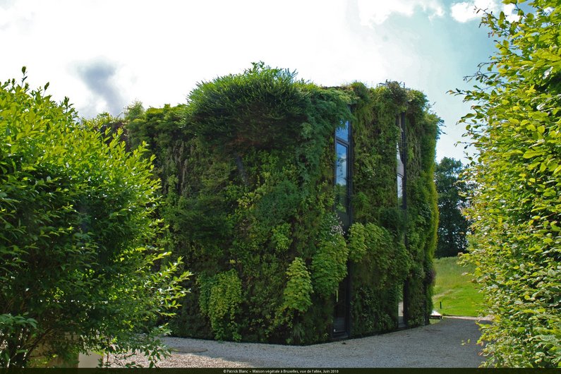 Ein Gebäude mit einer Fassade, die vollständig von einem vertikalen Garten von Patrick Blanc bedeckt ist. Die üppige Vegetation verleiht dem Gebäude ein grünes Erscheinungsbild und verbessert die städtische Umwelt.