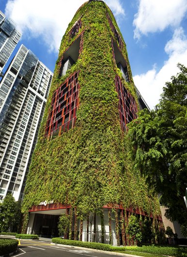 The picture shows the green façade of the Oasia-Downtown Hotel in Singapore, densely covered with plants. The greenery improves the air quality and the microclimate.