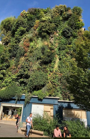 Der Oasis of Aboukir, a vertical garden in Paris by Patrick Blanc. The planted façade integrates nature and urban life.