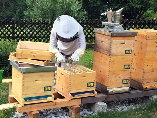 A beekeeper in protective clothing works on a beehive in a garden.