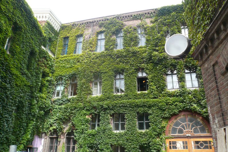 A building with several storeys that is completely covered by green climbing plants.