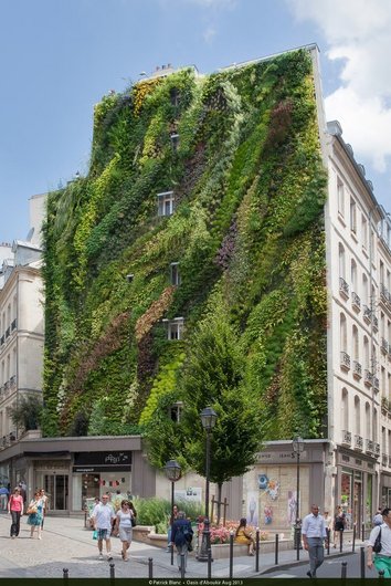 A modern building façade completely covered with green plants, creating a vibrant, natural aesthetic.