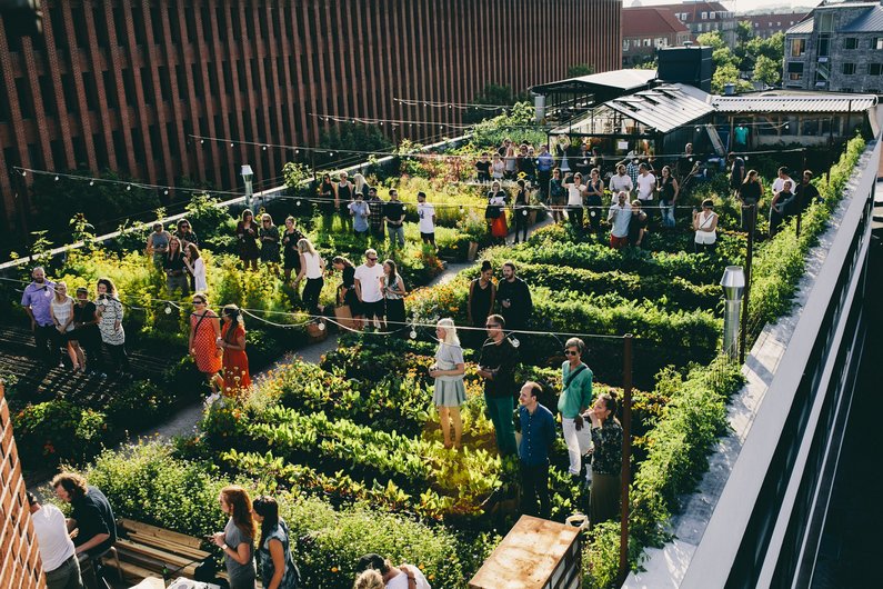 Eine Dachterrasse mit vielen Menschen, die sich in einem Gemeinschaftsgarten versammeln.